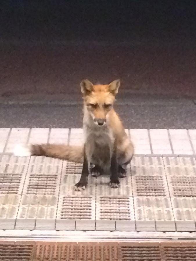 Отель Hyosetsuso Вакканай Экстерьер фото